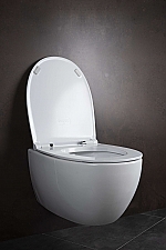 Globo 4ALL wandcloset rimless 48x37cm wit GLMDS04.BI